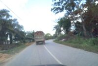 Truk Pengangkut Sawit Dengan Muatan Berlebih Tanpa Pengaman Diminta Perhatian Pemerintah