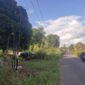 Foto : Tampak tiang-tiang jaringan internet di depan rumah warga sampai tiga tiang