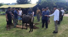 Foto Dandim 0912 Kubar Saat Menyerahkan Hewan Qurban