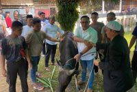 Foto Kapolres Kubar AKBP Kade Budiyarta Saat Menyerahkan Hewan Kurban Untuk disembelih oleh Juru Sembelih