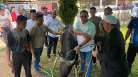Foto Kapolres Kubar AKBP Kade Budiyarta Saat Menyerahkan Hewan Kurban Untuk disembelih oleh Juru Sembelih