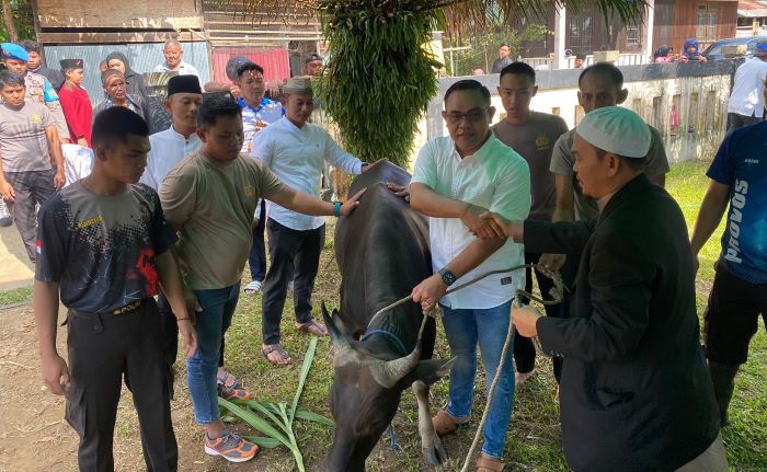 Foto Kapolres Kubar AKBP Kade Budiyarta Saat Menyerahkan Hewan Kurban Untuk disembelih oleh Juru Sembelih