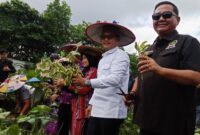 Wakil Gubernur Kalimantan Timur Seno Aji didampingi Bupati Kutai Barat Frederick Edwin dan Ketua KTNA Kaltim Ekti Imanuel Saat Meninjau Demplot PEDA KTNA XI Kaltim.