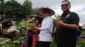 Wakil Gubernur Kalimantan Timur Seno Aji didampingi Bupati Kutai Barat Frederick Edwin dan Ketua KTNA Kaltim Ekti Imanuel Saat Meninjau Demplot PEDA KTNA XI Kaltim.