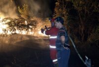 Tampak Personel Badan Penanggulangan Bencana Daerah (BPBD) Kutai Barat Berjibaku Memadamkan Karhutla di Jengan Danum.