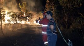 Tampak Personel Badan Penanggulangan Bencana Daerah (BPBD) Kutai Barat Berjibaku Memadamkan Karhutla di Jengan Danum.