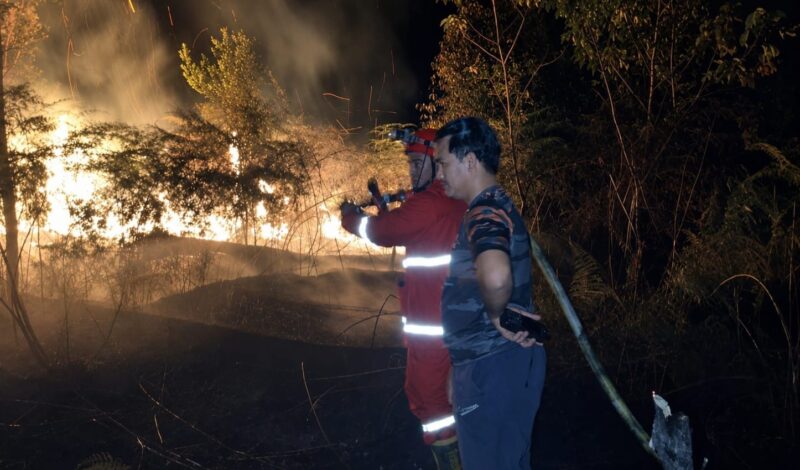 Tampak Personel Badan Penanggulangan Bencana Daerah (BPBD) Kutai Barat Berjibaku Memadamkan Karhutla di Jengan Danum.