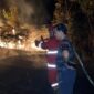 Tampak Personel Badan Penanggulangan Bencana Daerah (BPBD) Kutai Barat Berjibaku Memadamkan Karhutla di Jengan Danum.