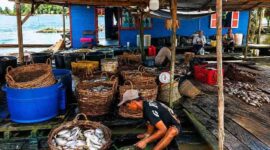 Tampak Pergerakan Ekonomi Lokal Masyarakat Kampung Muara Beloan Menggeliat dari Sektor Perikanan.