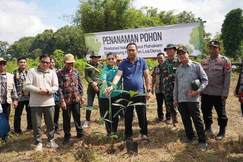 Bupati Kutai Barat, Frederick Edwin didampingi Istri Maria Christina Mozes Edwin Saat Melakukan Penanaman Pohon guna upaya Konservasi dan Menjaga Pelestarian Pesut Mahakam.